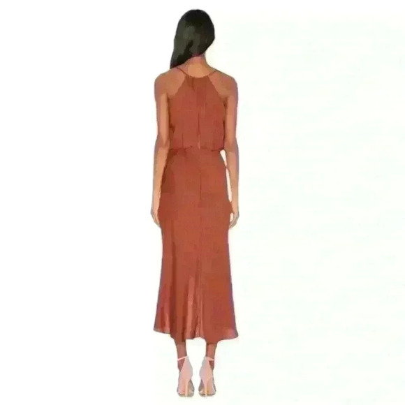 JOIE Tanika Dress in Tawny - Picture 15 of 15